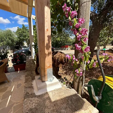 Trullo Gnoffa La Correggia